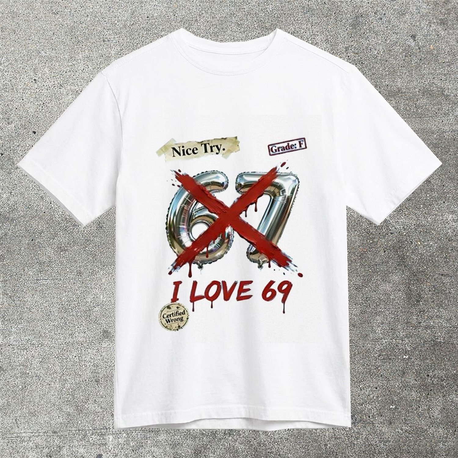 Nice Try 67 I Love 69 Funny Humor T-Shirt Sarcastic Certified Wrong Joke Shirt Best Gift Friends
