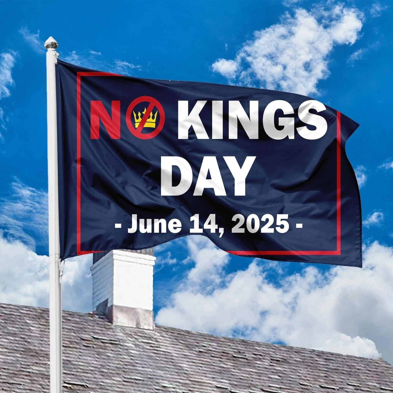 No Kings Day June 14 2025 Flag Anti Trump Resist Fascism Political Flag