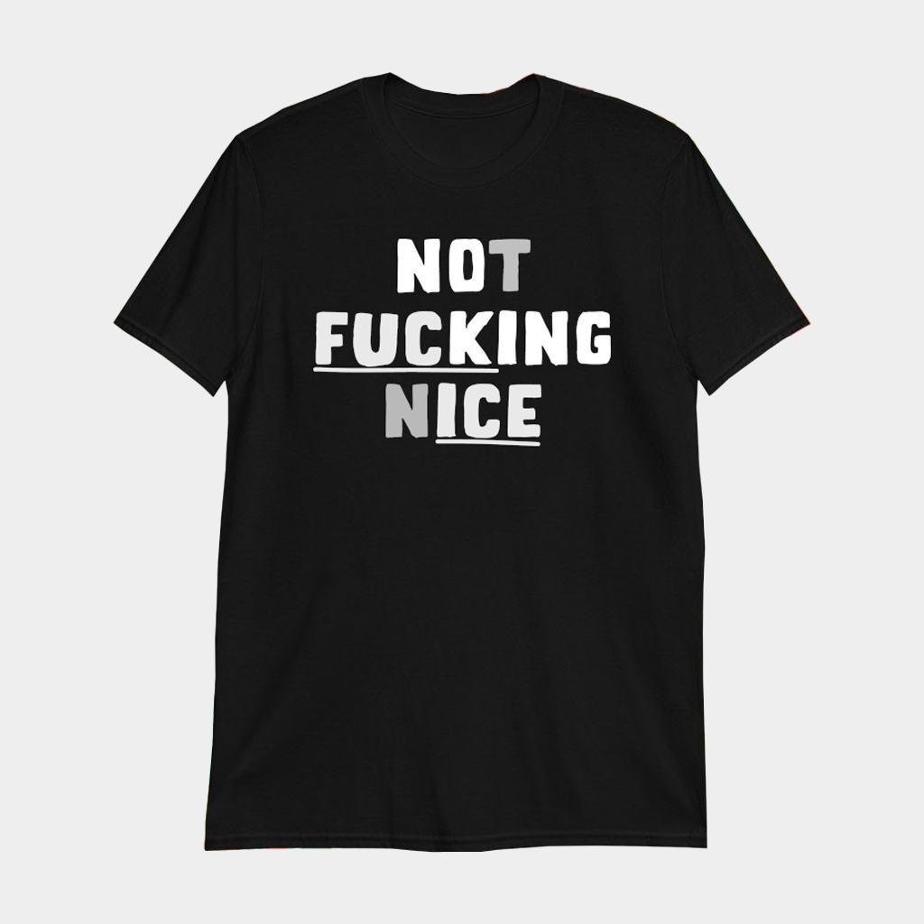 Not Fcking Nice T-Shirt Best Birthday Gift For Brother