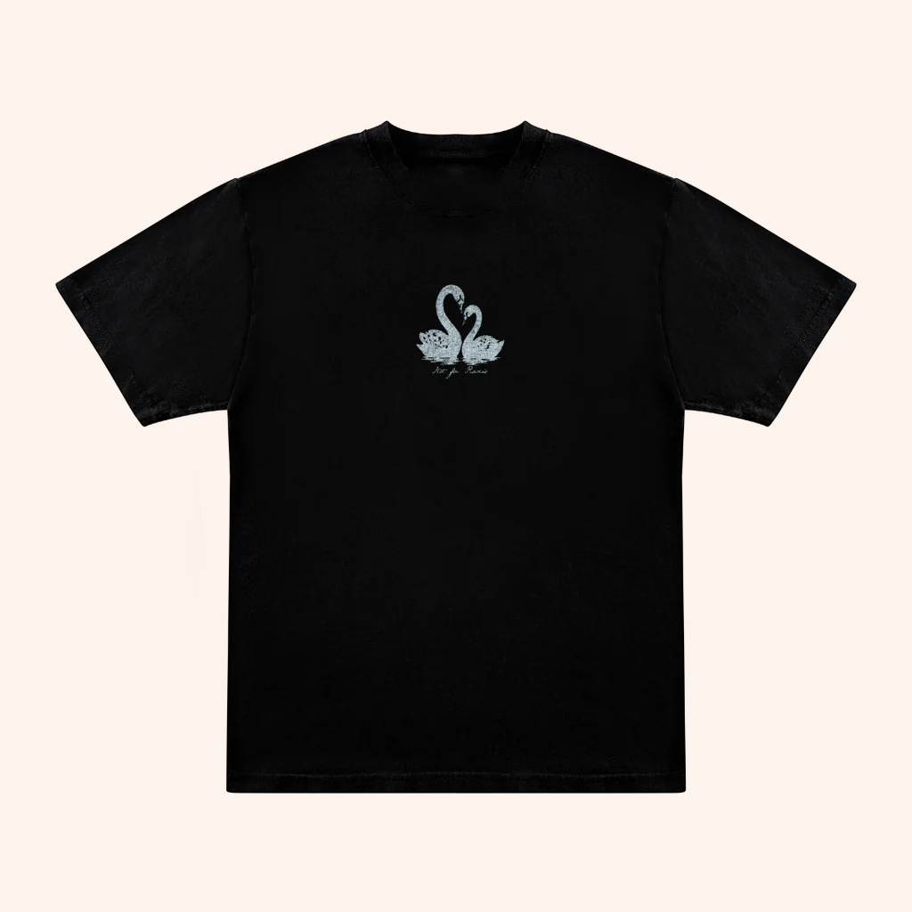 Not For Radio Merch Swan Lovers T-Shirt Valentines Day Presents Not For Radio Merch Swan Lovers T-Shirt Valentines Day Presents