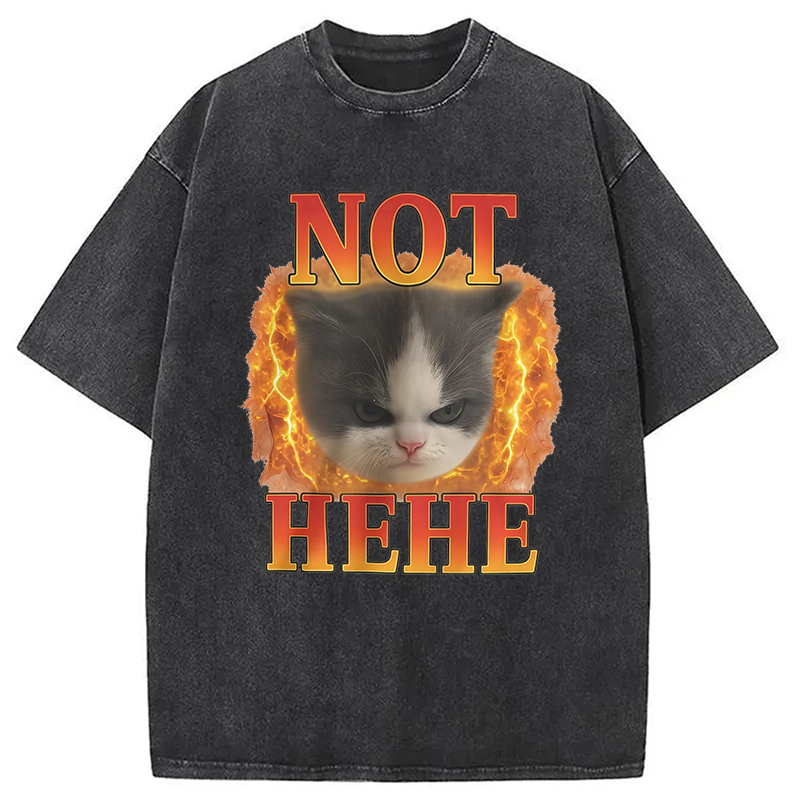 NOT HEHE Funny Cat Meme Washed T-Shirt Cool Urban Street Style Shirt Gifts For BFF