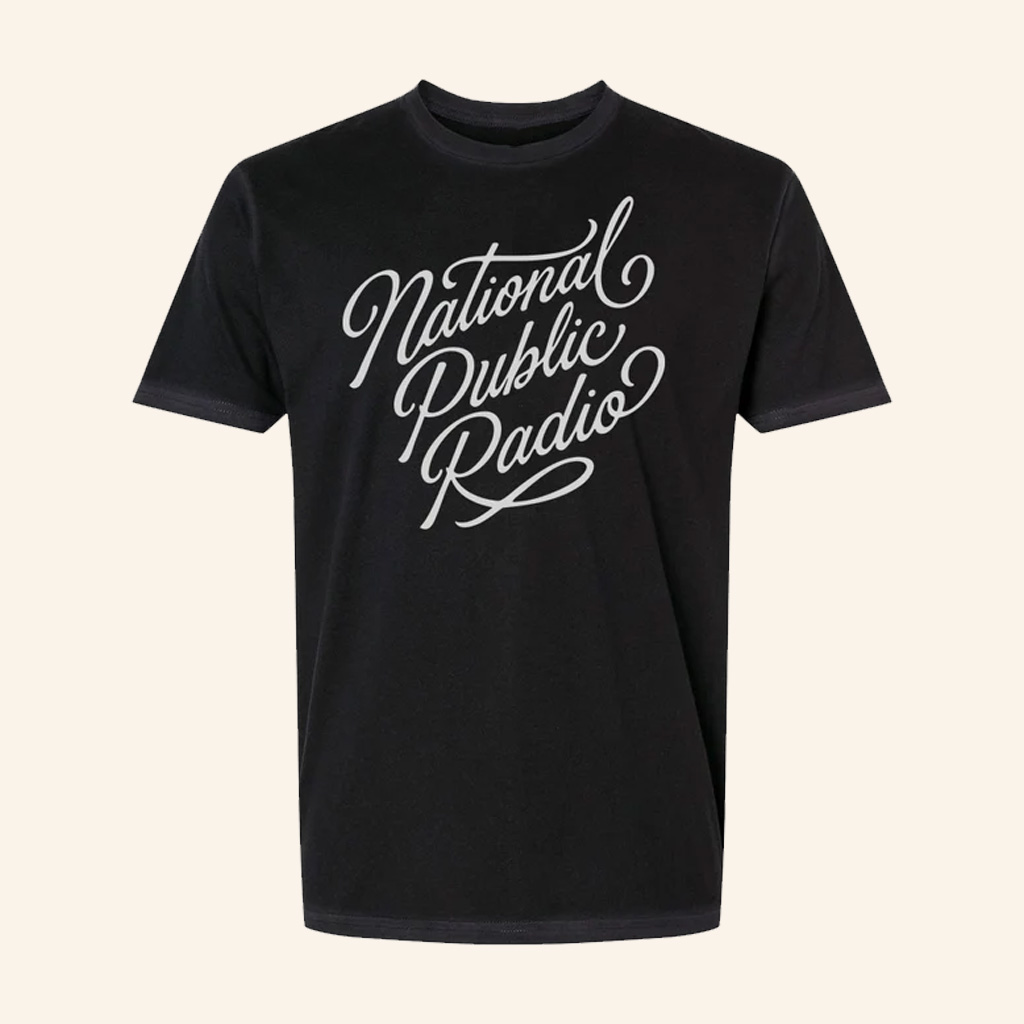 NPR Merch National Public Radio Script T-Shirt Best Christmas Presents For Men
