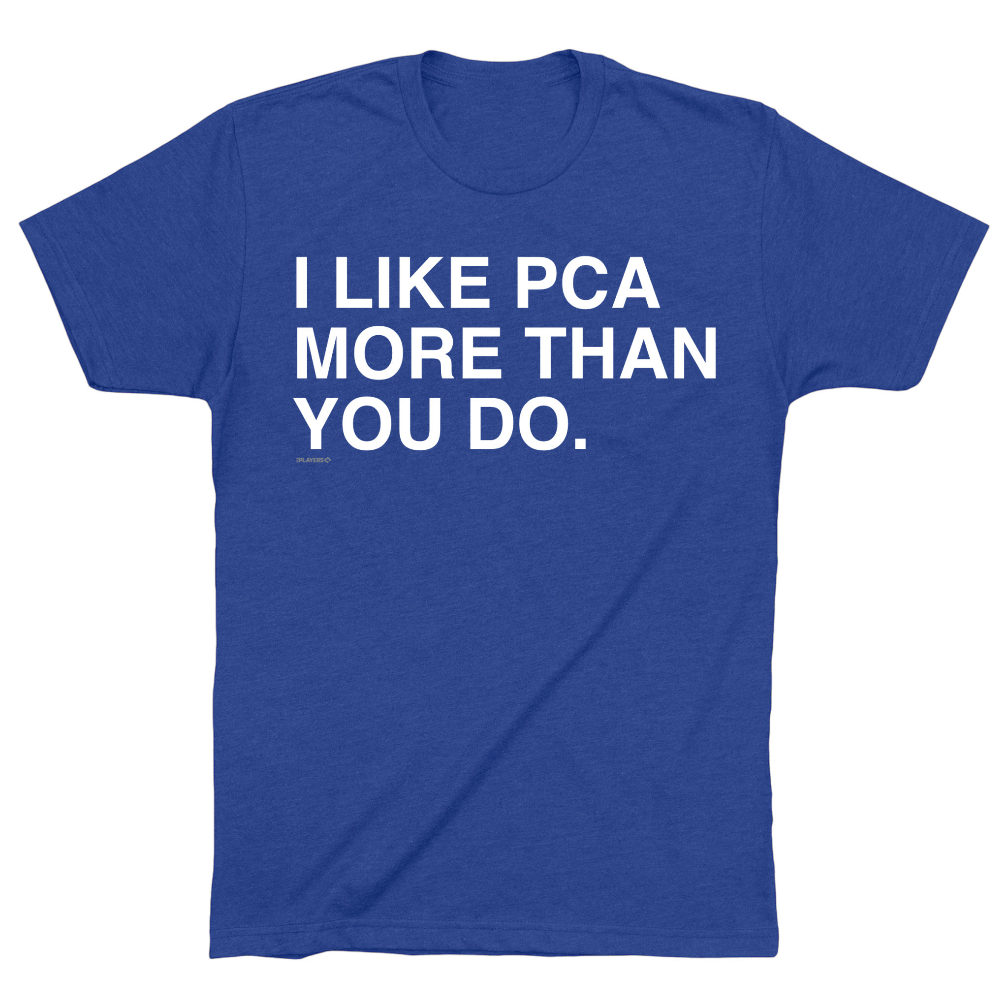 OBVIOUS SHIRTS Merch I Like Pca More Than You Do T-Shirt Unique Gift For Dad