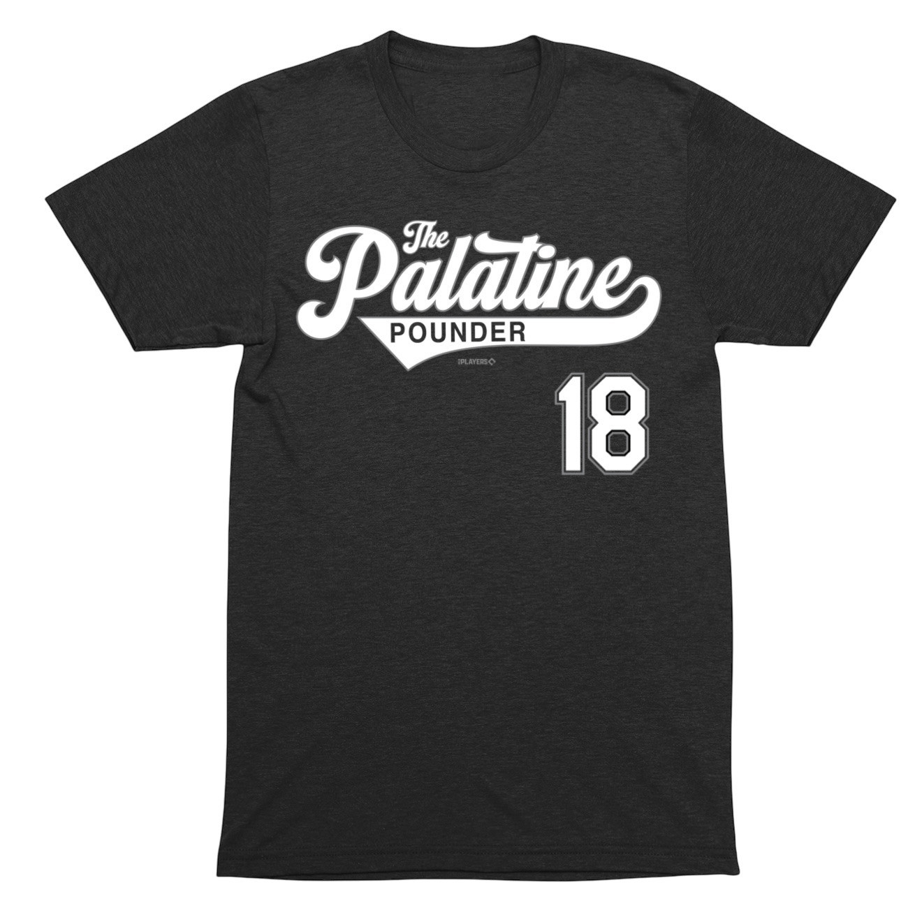 OBVIOUS SHIRTS Merch Palatine Pounder 18 T-Shirt Christmas Gifts For Brother
