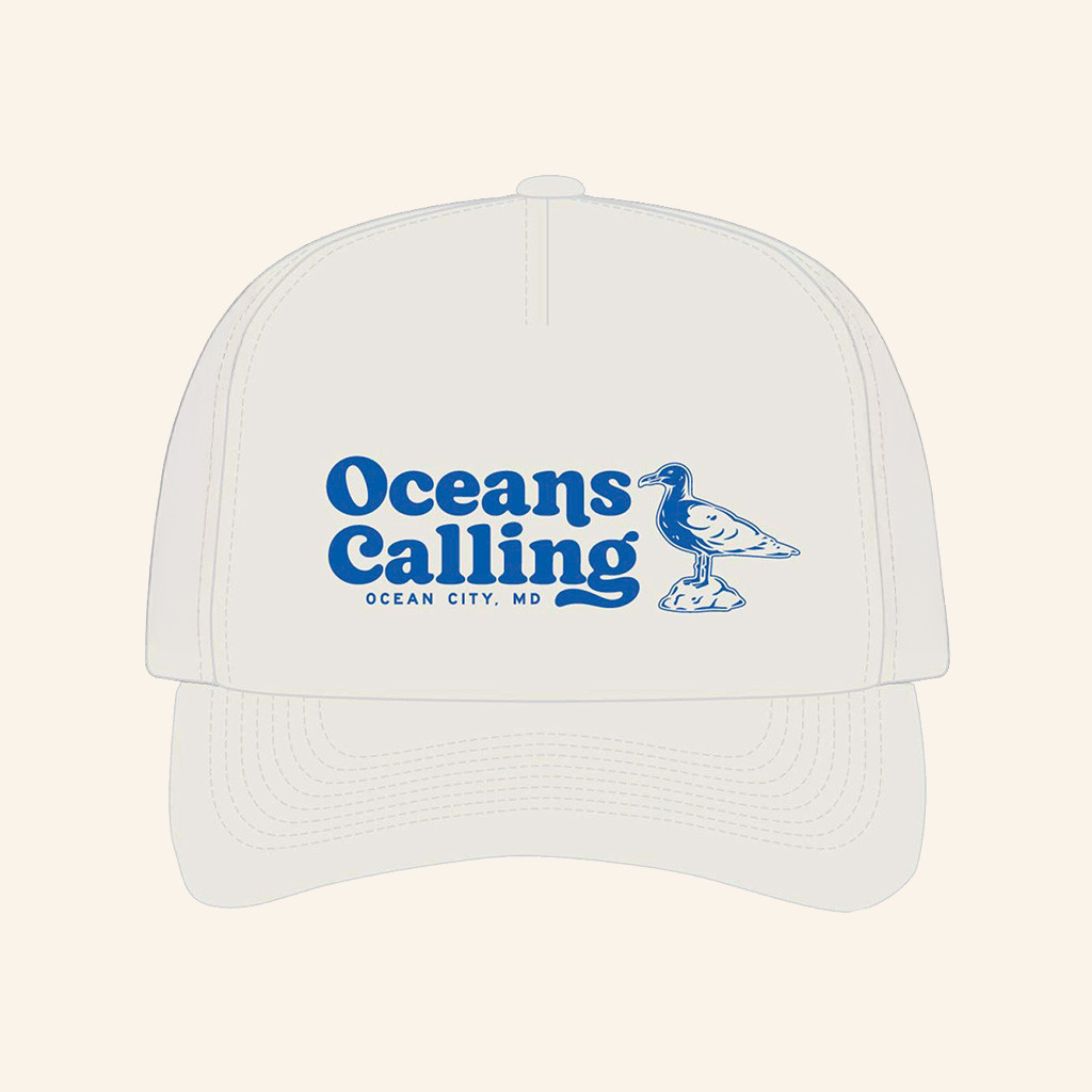 Oceans Calling Merch Seagull Hat Christmas Gifts For Boyfriend Oceans Calling Merch Seagull Hat Christmas Gifts For Boyfriend
