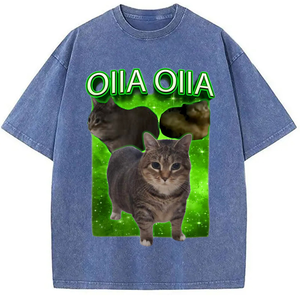 Oiia Cat Funny Meme Washed T-Shirt Casual Vintage Everyday Look Gifts For BFF