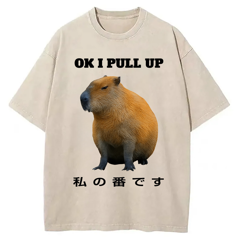 Ok I Pull Up Funny Capybara Washed T-Shirt Everyday Comfort Graphic Shirt Gifts For Sister