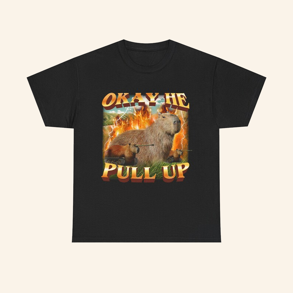 Okay He Pull Up Capybara T-Shirt Best Gifts For Boyfriend