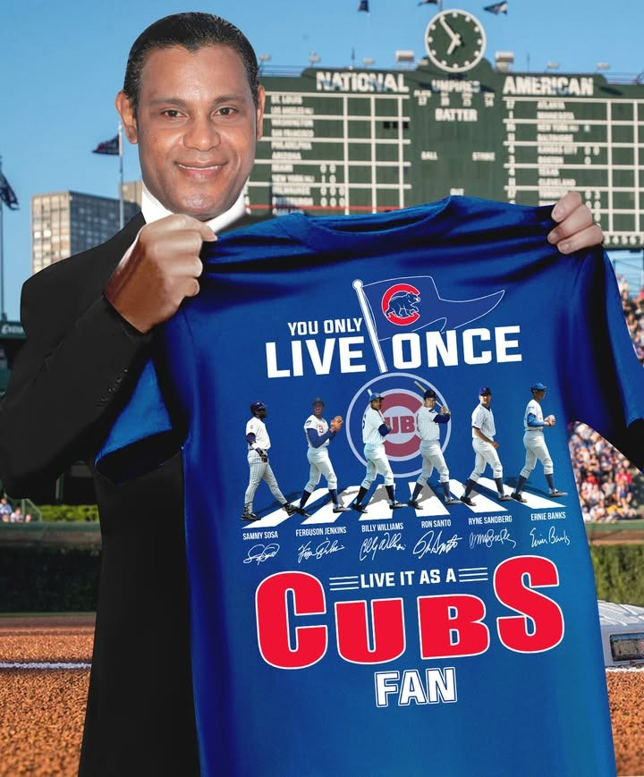 One Life One Team Chicago Cubs T-Shirt Best Gifts For Baseball Lovers
