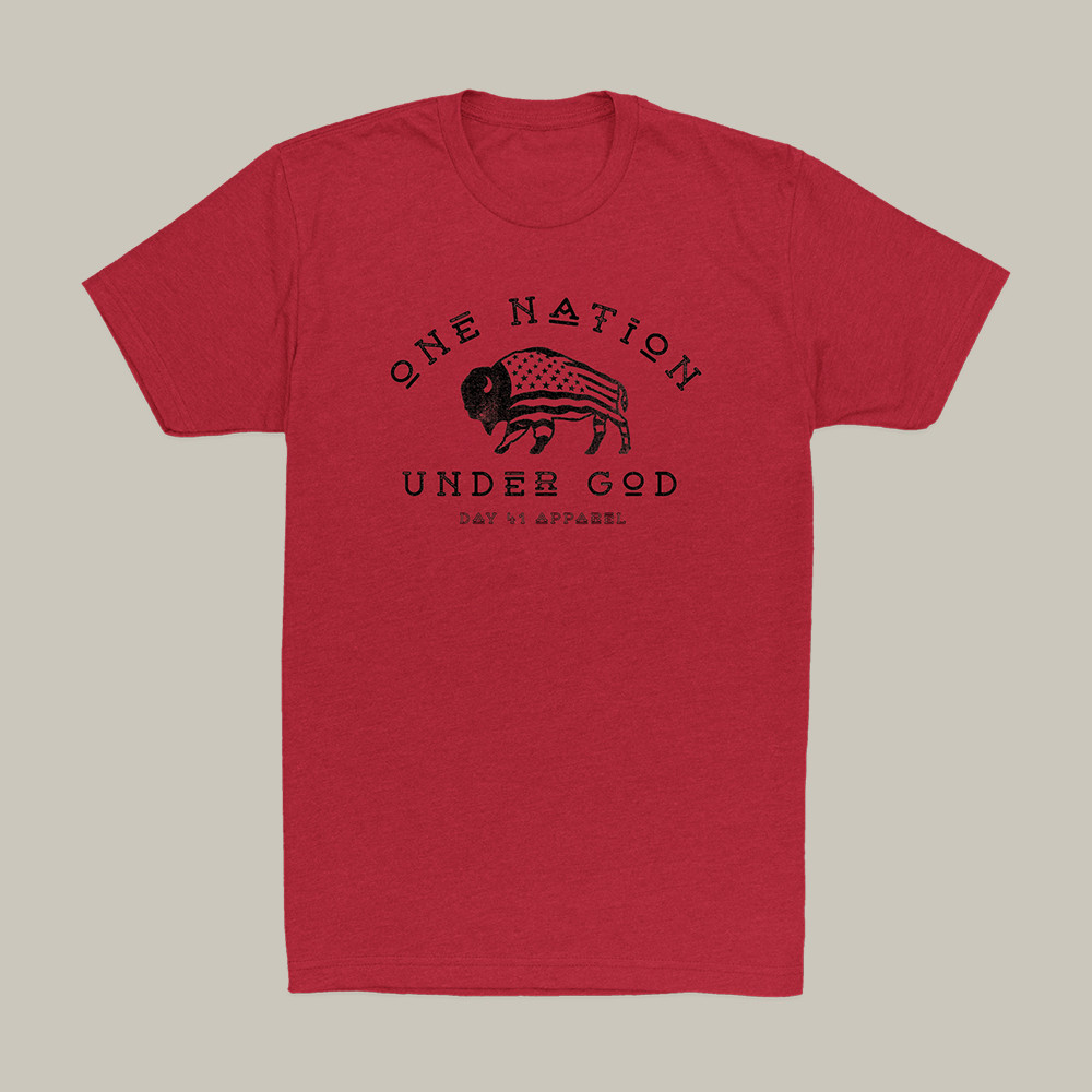 One Nation Under God Day Forty One T-Shirt Bison Graphic Tee Christian Gift Idea