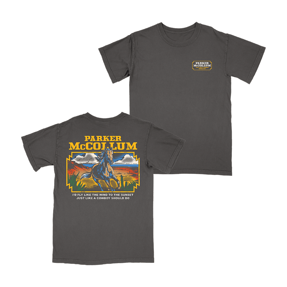 Parker McCollum Merch Horse T-Shirt Parker McCollum Tour Merch Gifts For Music Lovers