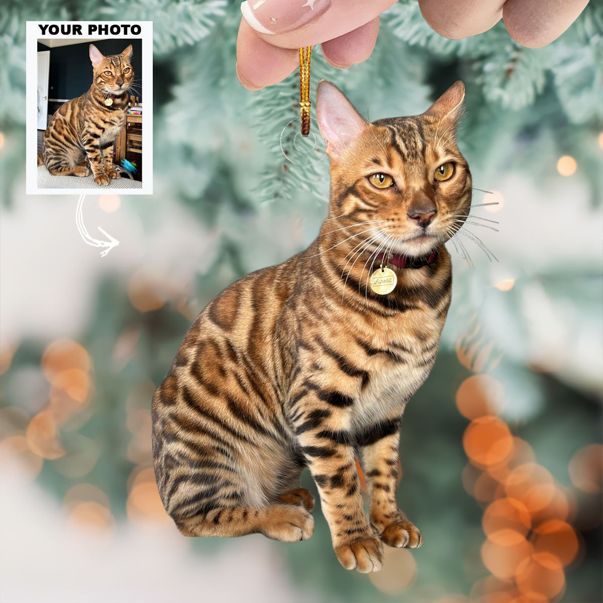 Paws And Whiskers Personalized Photo Mica Ornament Christmas Gift For Cat Lovers Cat