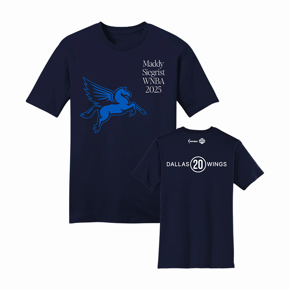 Pegasus Dallas WIngs Basketball T-Shirt Game Day Basketball Lover Shirt Present For Brothers