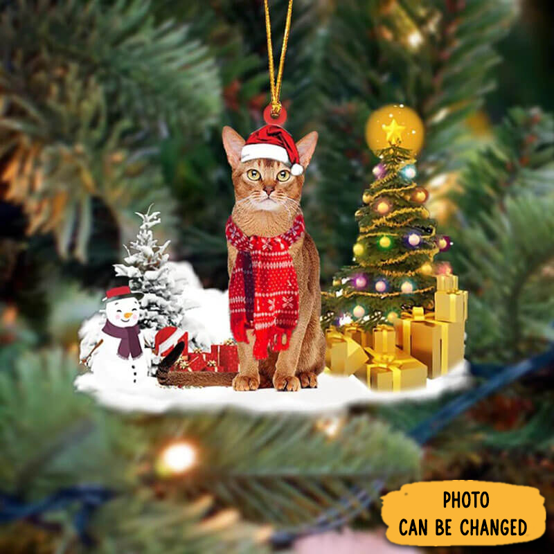 Personalized Abyssinian Cat Christmas Ornament Perfect Christmas Ornament Gift