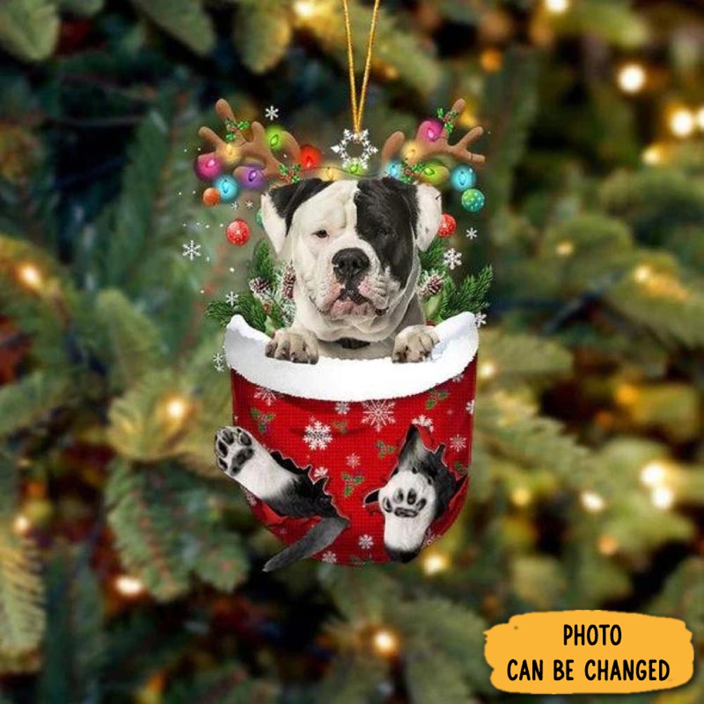 Personalized American Bulldog In Snow Pocket Christmas Ornament Unique Ornament Gift For Friends