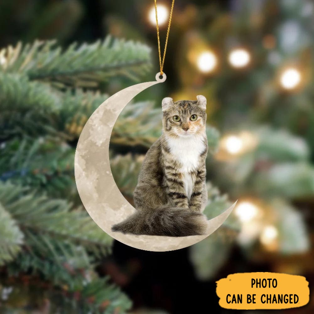 Personalized American Curl Cat Sits On The Moon Hanging Ornament Beautiful Graduation Ornament Gift
