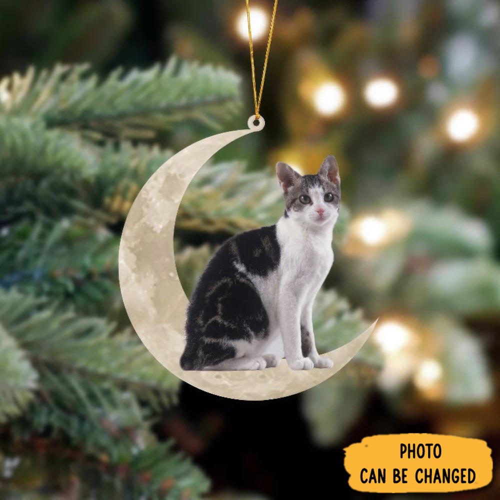 Personalized American Wirehair Cat Sits On The Moon Hanging Ornament Timeless Ornament For Holiday Memories