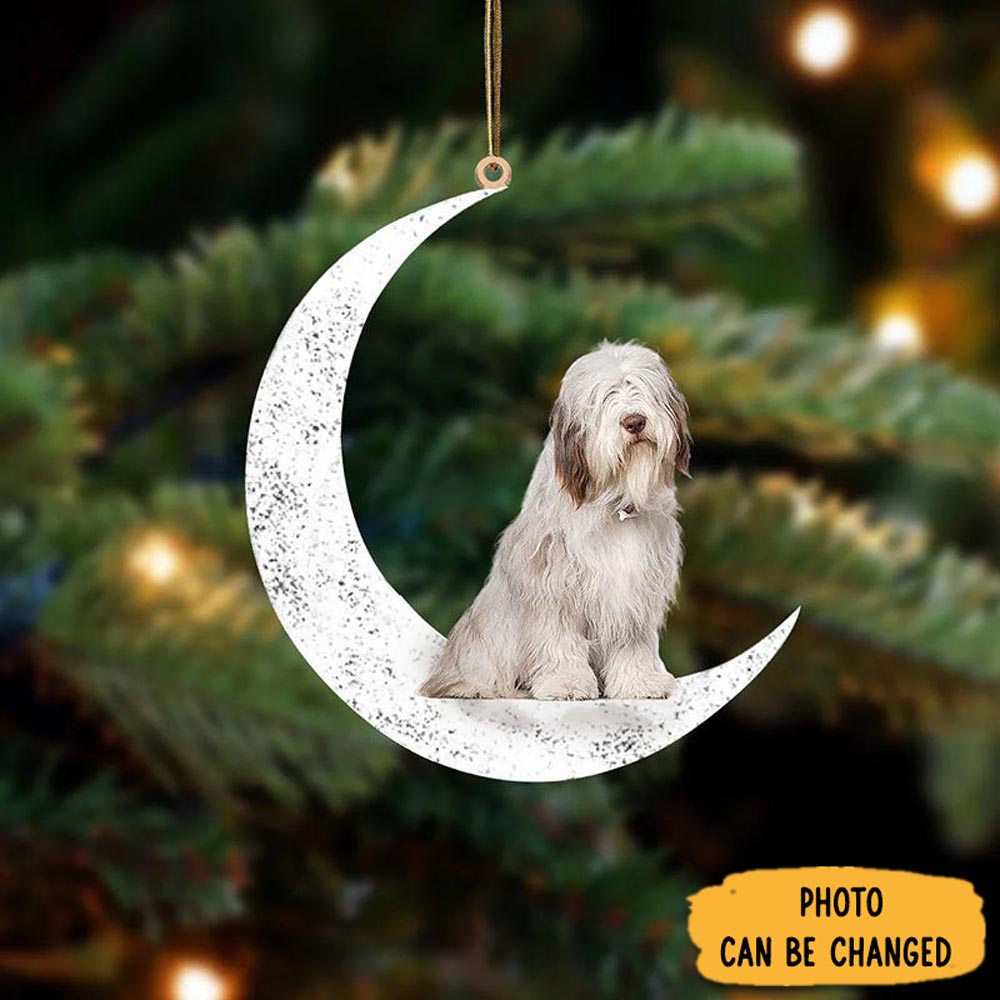 Personalized Bearded Collies Sit On The Moon Ornament Thoughtful Ornament Gift For Dad