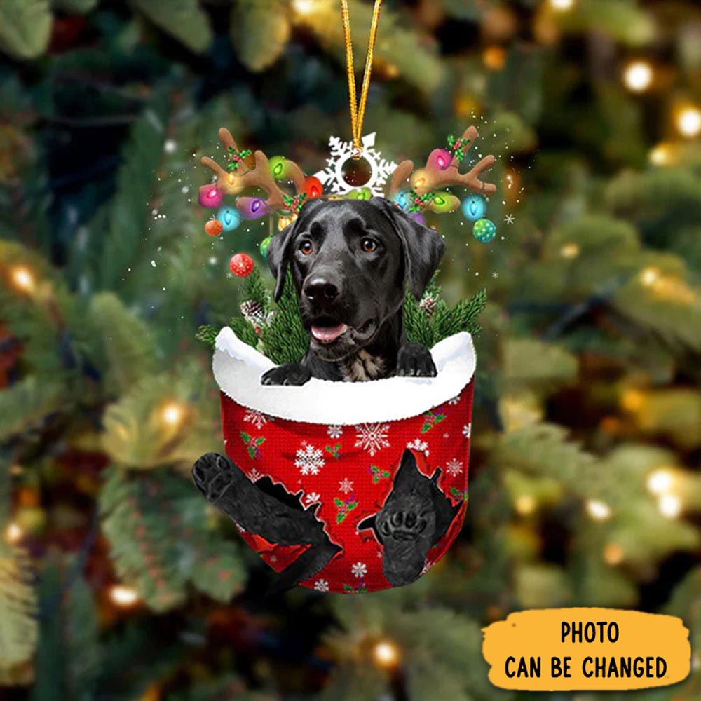 Personalized Black Dalmatian In Snow Pocket Christmas Ornament Adorable Easter Ornament Keepsake