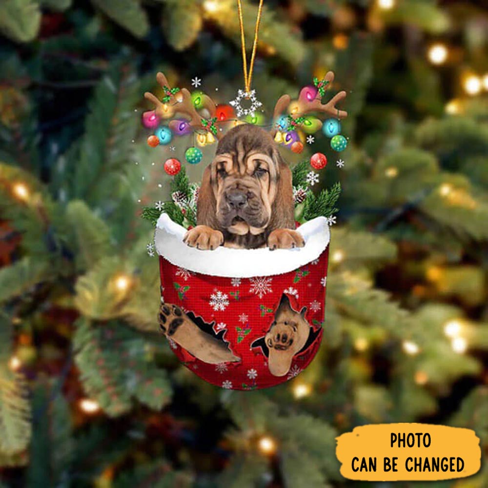 Personalized Bloodhound In Snow Pocket Christmas Ornament Magical Christmas Tree Ornament