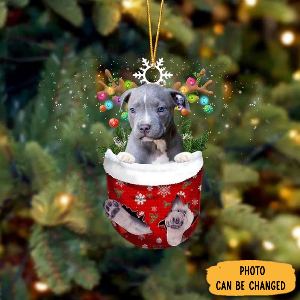 Personalized Blue Pitbull In Snow Pocket Christmas Ornament Joyful Home Ornament Decor