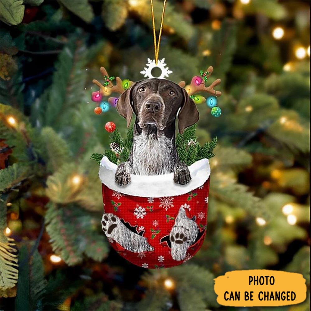Personalized Blue Tick Hound Dog In Snow Pocket Christmas Ornament Heartwarming Family Ornament Keepsake