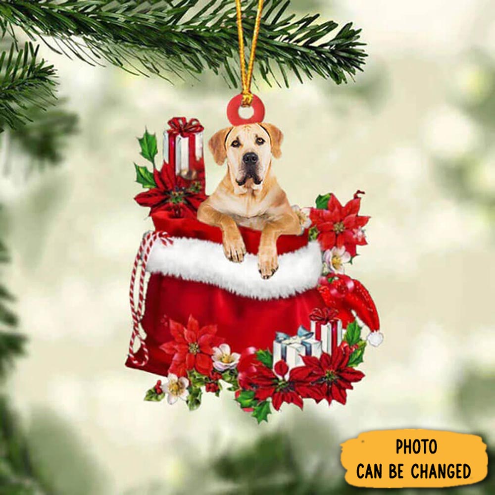 Personalized Boerboel In Gift Bag Christmas Ornament Lovely Holiday Ornament Display