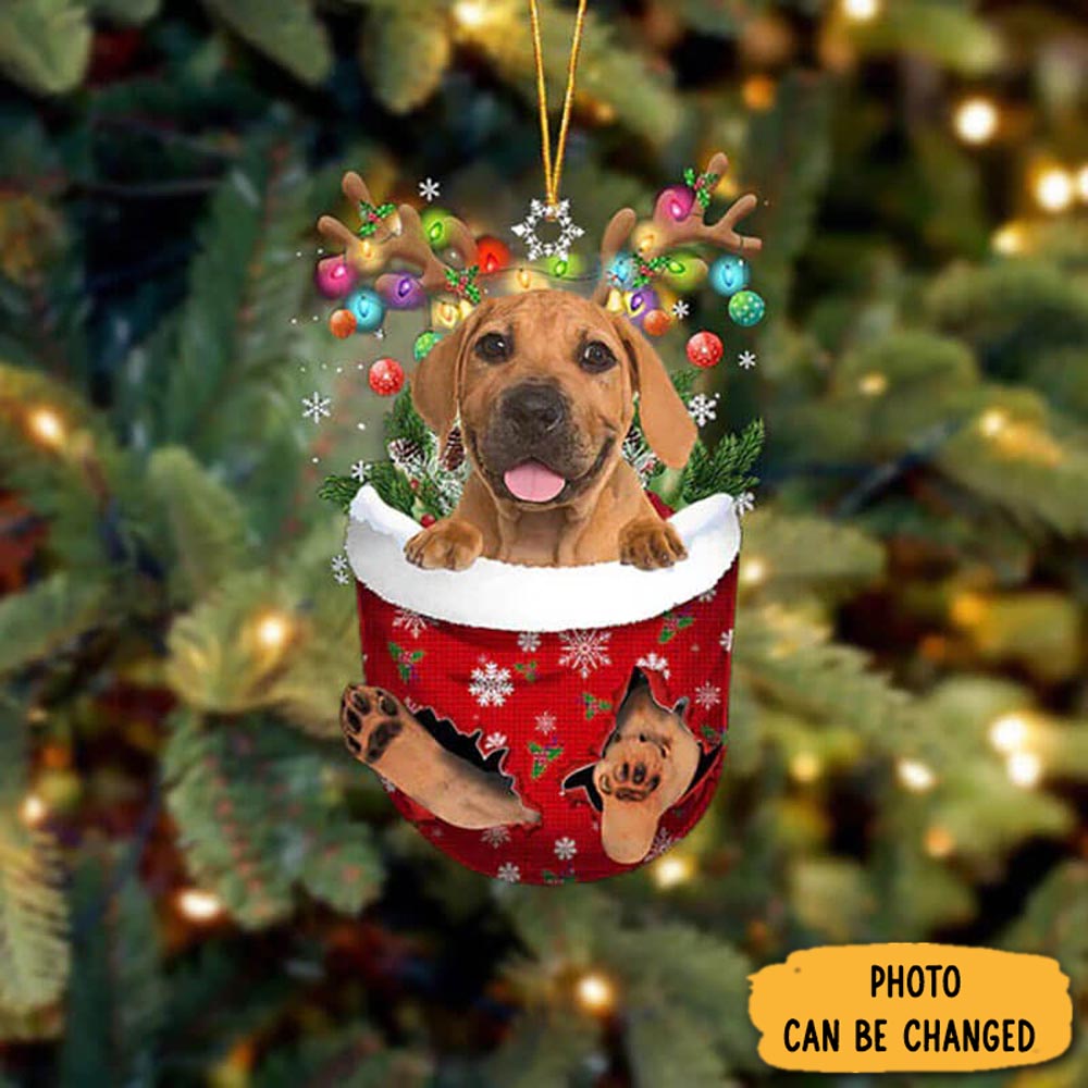 Personalized Boerboel In Snow Pocket Christmas Ornament Classic Christmas Ornament Gift