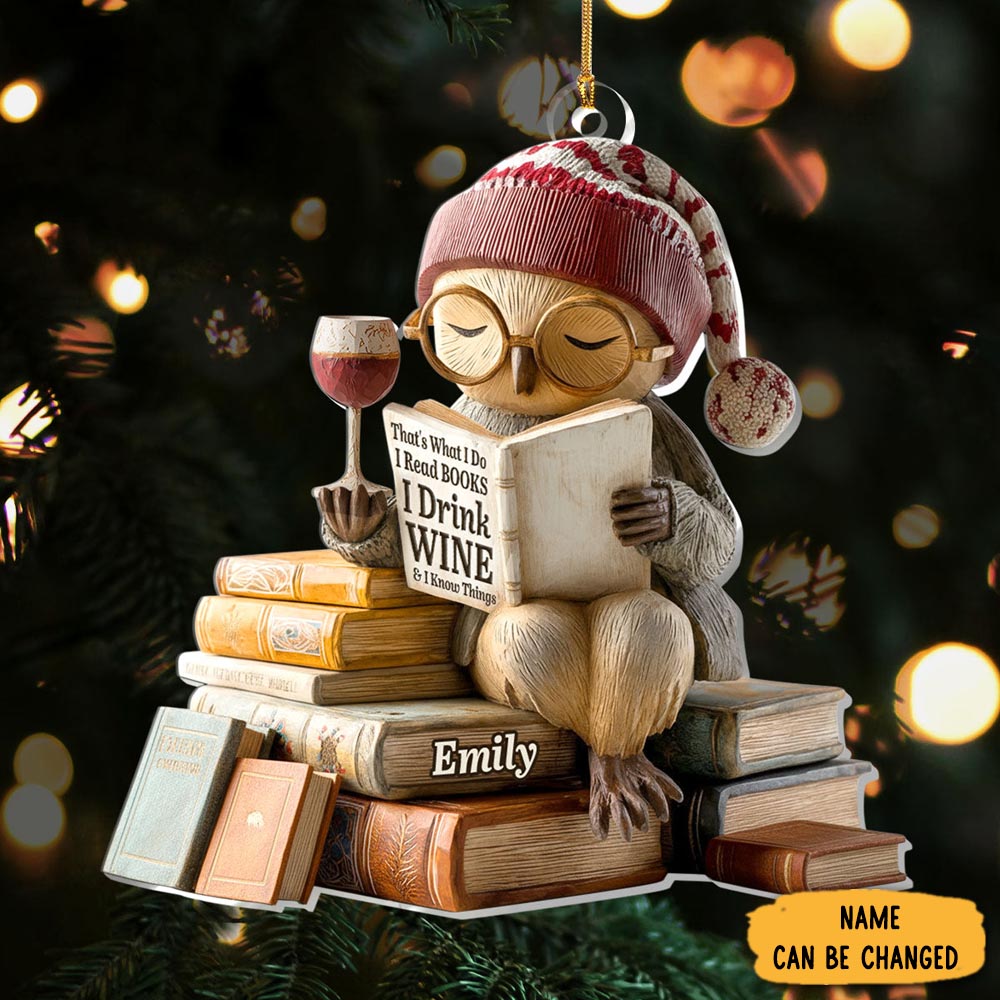 Personalized Bookish Owl Christmas Ornament Xmas Tree Decor Owl Owner Christmas Gifts