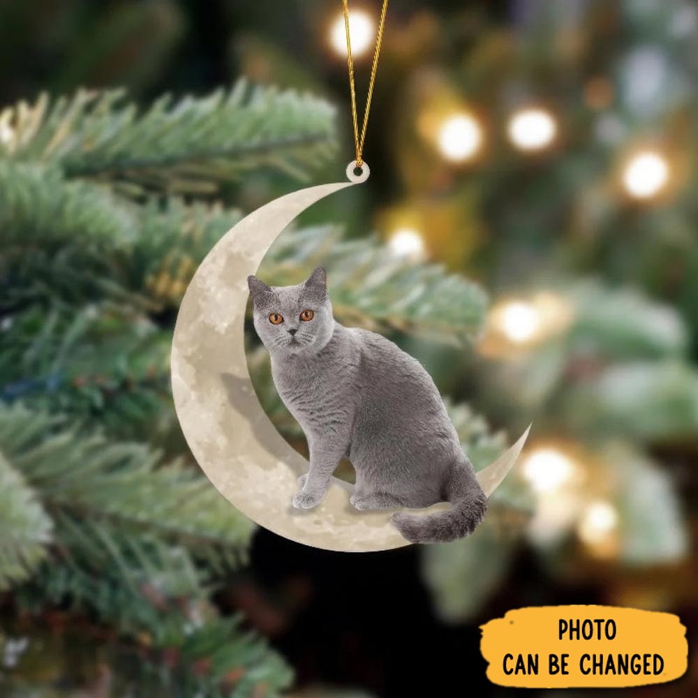 Personalized British Shorthair Cat Sits On The Moon Hanging Ornament Unique Ornament Gift For Friends