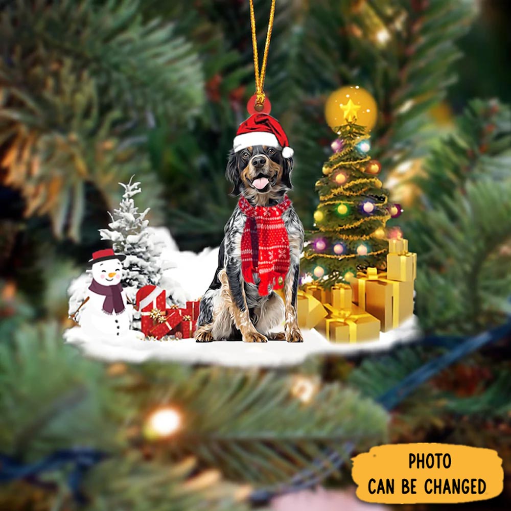 Personalized Brittany Christmas Ornament Warm Ornament Gift For Family