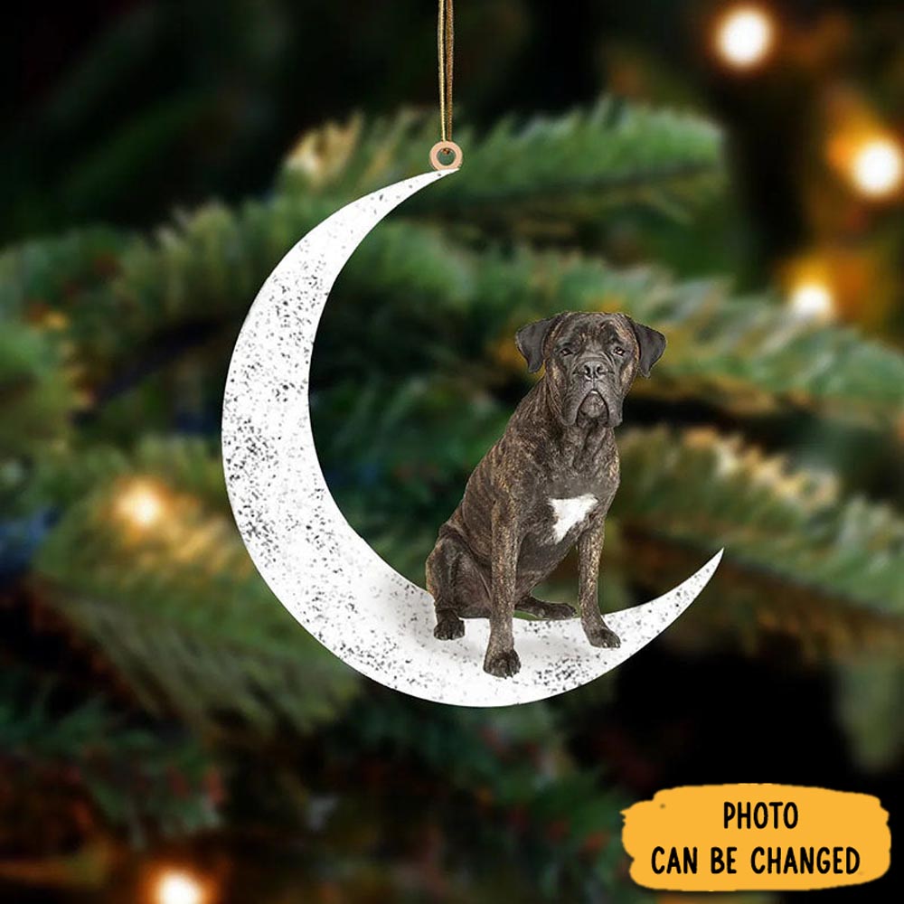 Personalized Brown Cane Corso Sit On The Moon Ornament Joyful Home Ornament Decor