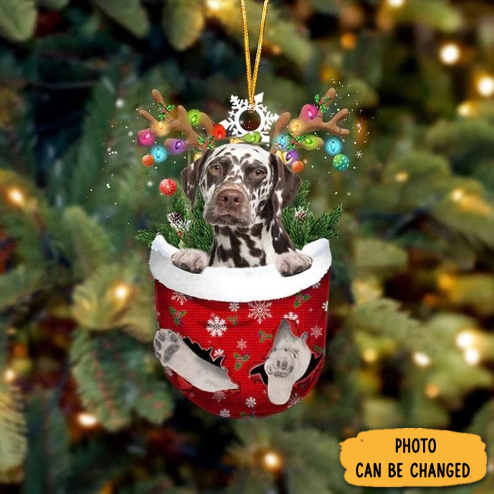 Personalized Brown Dalmatian In Snow Pocket Christmas Ornament Lovely Holiday Ornament Display