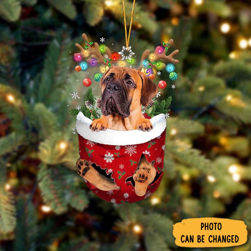 Personalized Bullmastiff In Snow Pocket Christmas Ornament Beautiful Graduation Ornament Gift