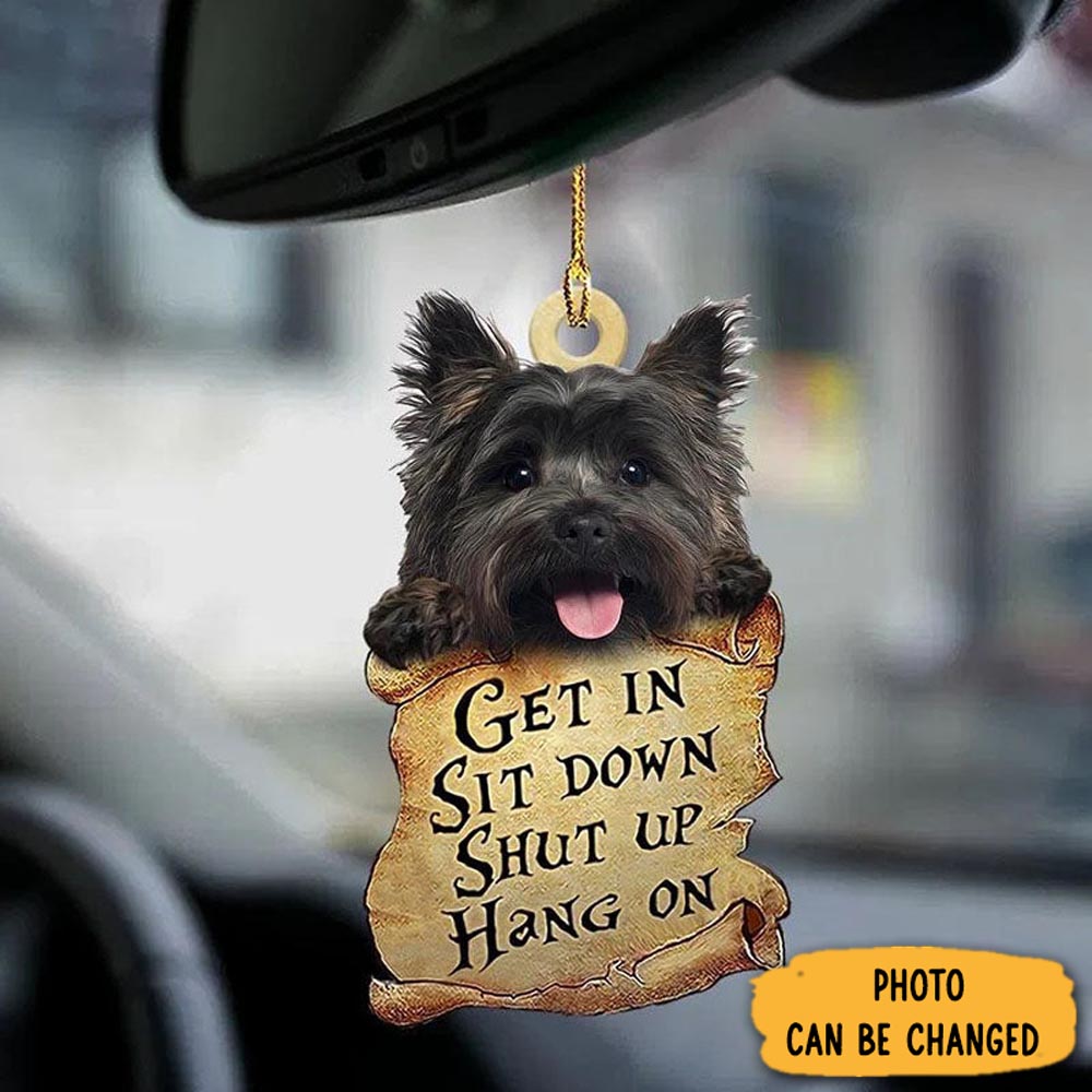 Personalized Cairn Terrier Get In Ornament Unique Ornament Gift For Friends