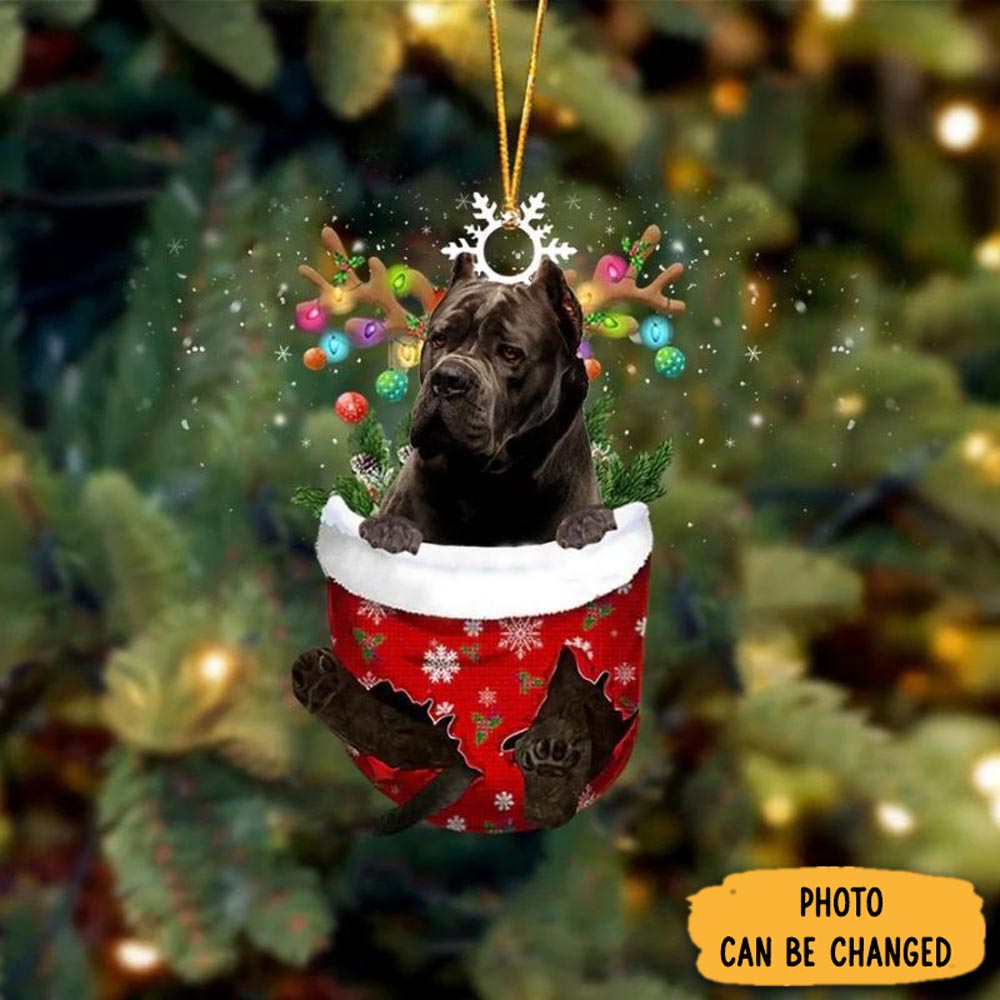 Personalized Cane Corso In Snow Pocket Christmas Ornament Lovely Holiday Ornament Display