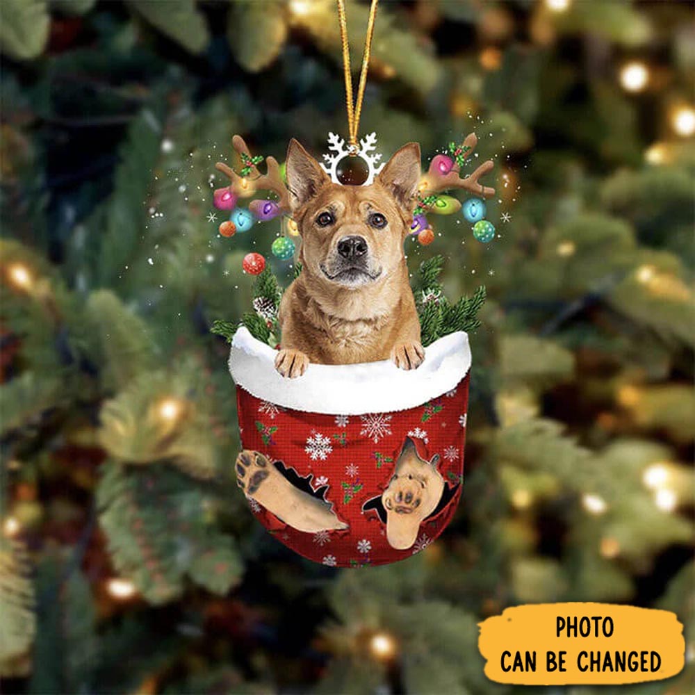 Personalized Carolina Dog In Snow Pocket Christmas Ornament Custom Christmas Ornament Gift Idea