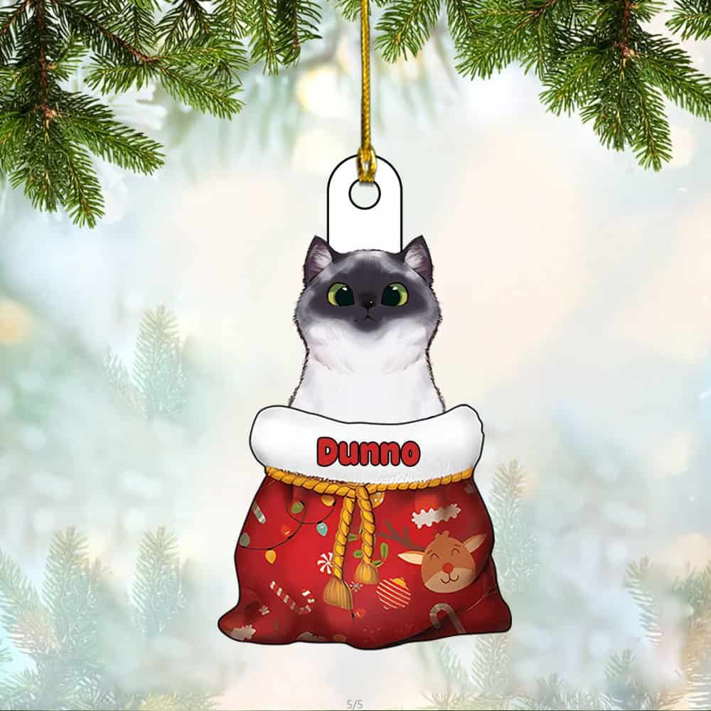 Personalized Cat In Christmas Sack Personalized Custom Acrylic Ornament Christmas Gift For Cat Lover Cat Mom Cat Dad Cat Owner