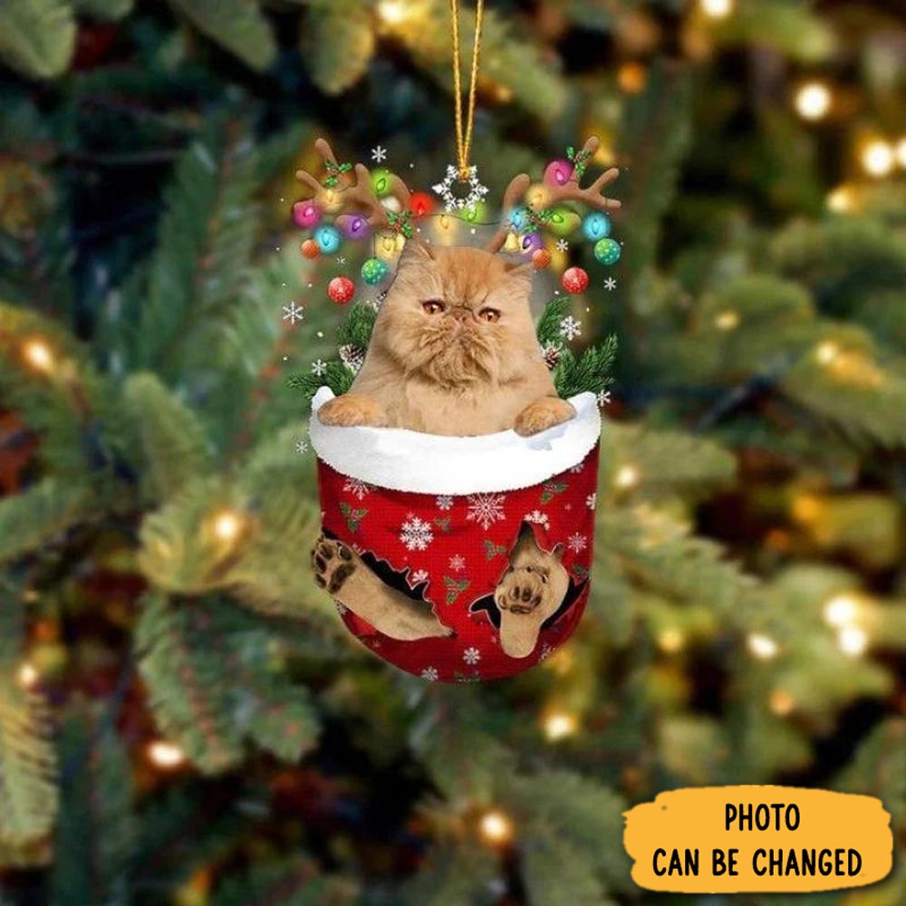 Personalized Cat In Snow Pocket Christmas Ornament Beautiful Graduation Ornament Gift