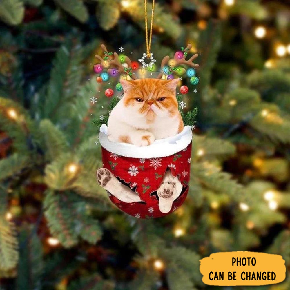 Personalized Cat In Snow Pocket Christmas Ornament Beautiful Holiday Ornament Keepsake