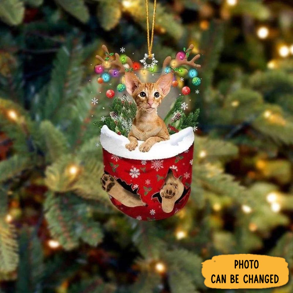 Personalized Cat In Snow Pocket Christmas Ornament Classic Christmas Ornament Gift