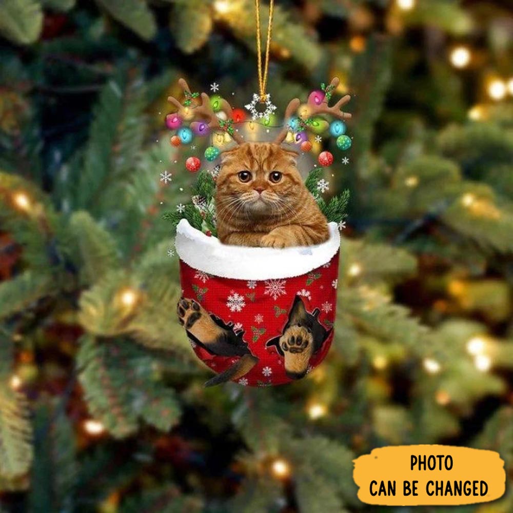 Personalized Cat In Snow Pocket Christmas Ornament Custom Christmas Ornament Gift Idea