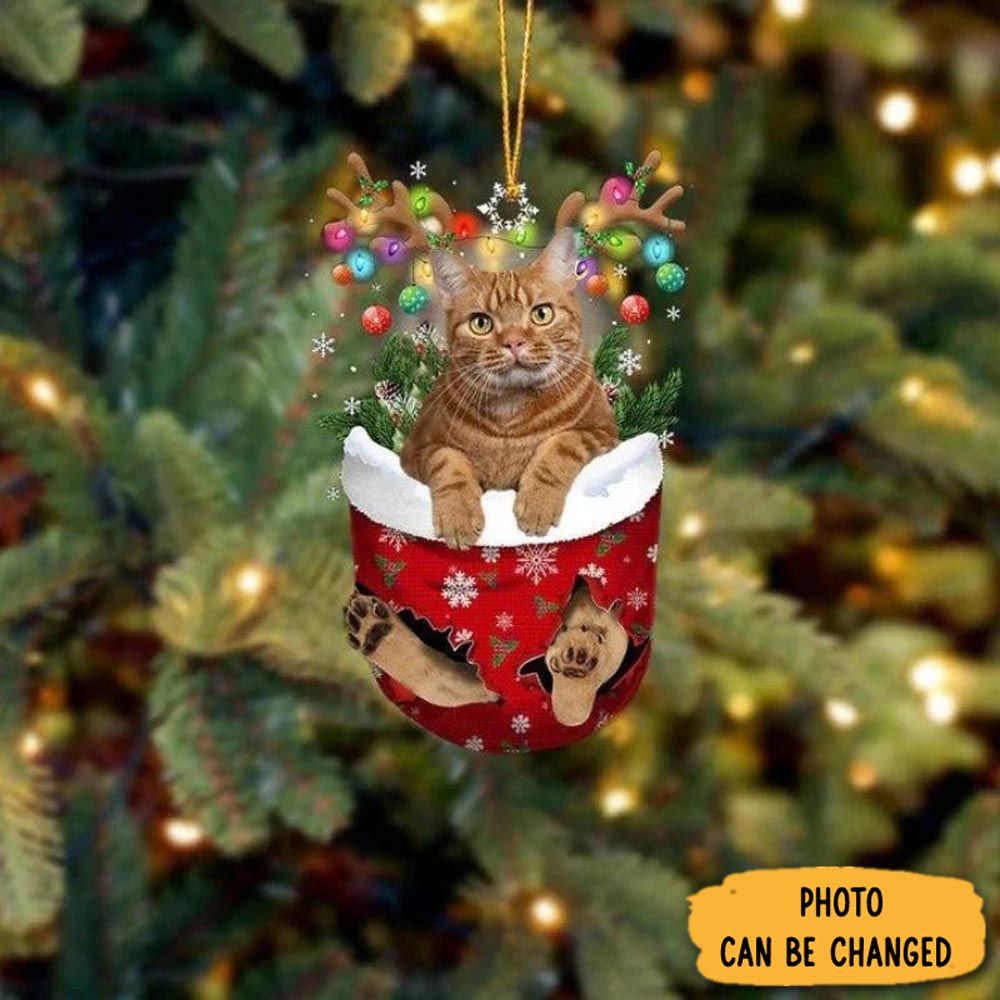 Personalized Cat In Snow Pocket Christmas Ornament Heartfelt Ornament Gift For Mom