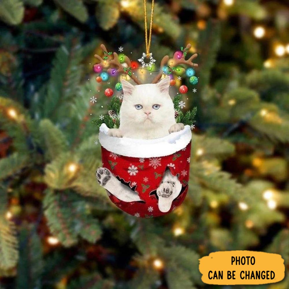 Personalized Cat In Snow Pocket Christmas Ornament Heartwarming Family Ornament Keepsake