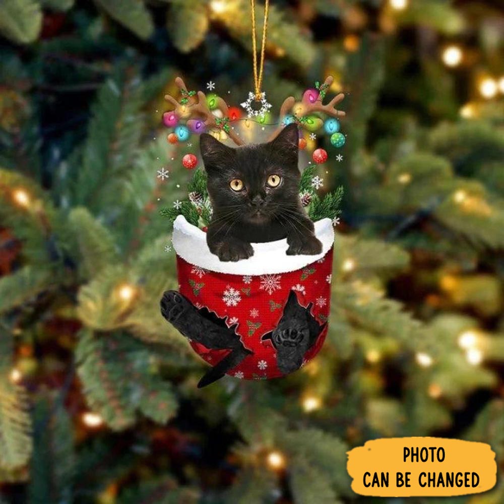 Personalized Cat In Snow Pocket Christmas Ornament Holiday Ornament For Home & Family