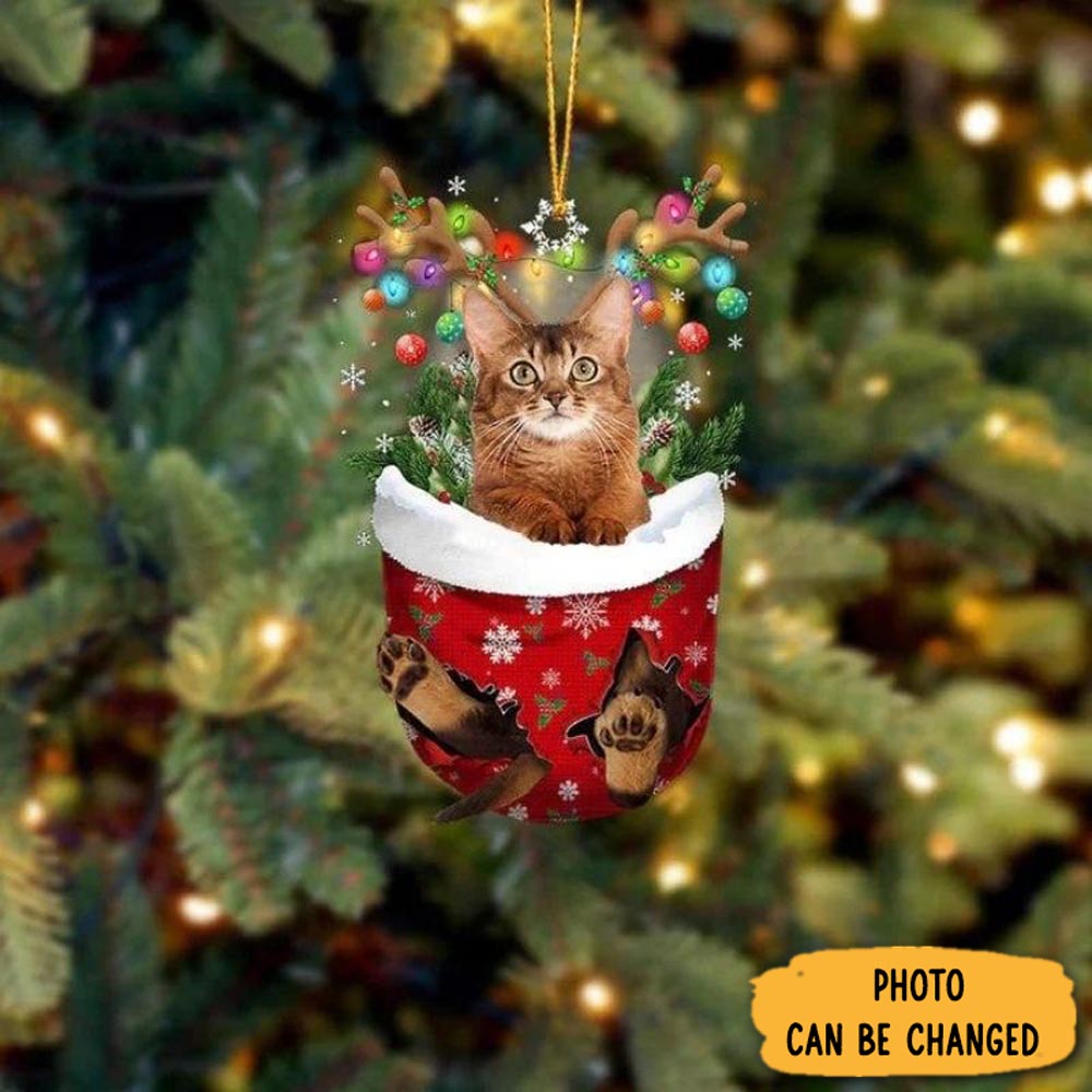 Personalized Cat In Snow Pocket Christmas Ornament Joyful Holiday Season Ornament Gift