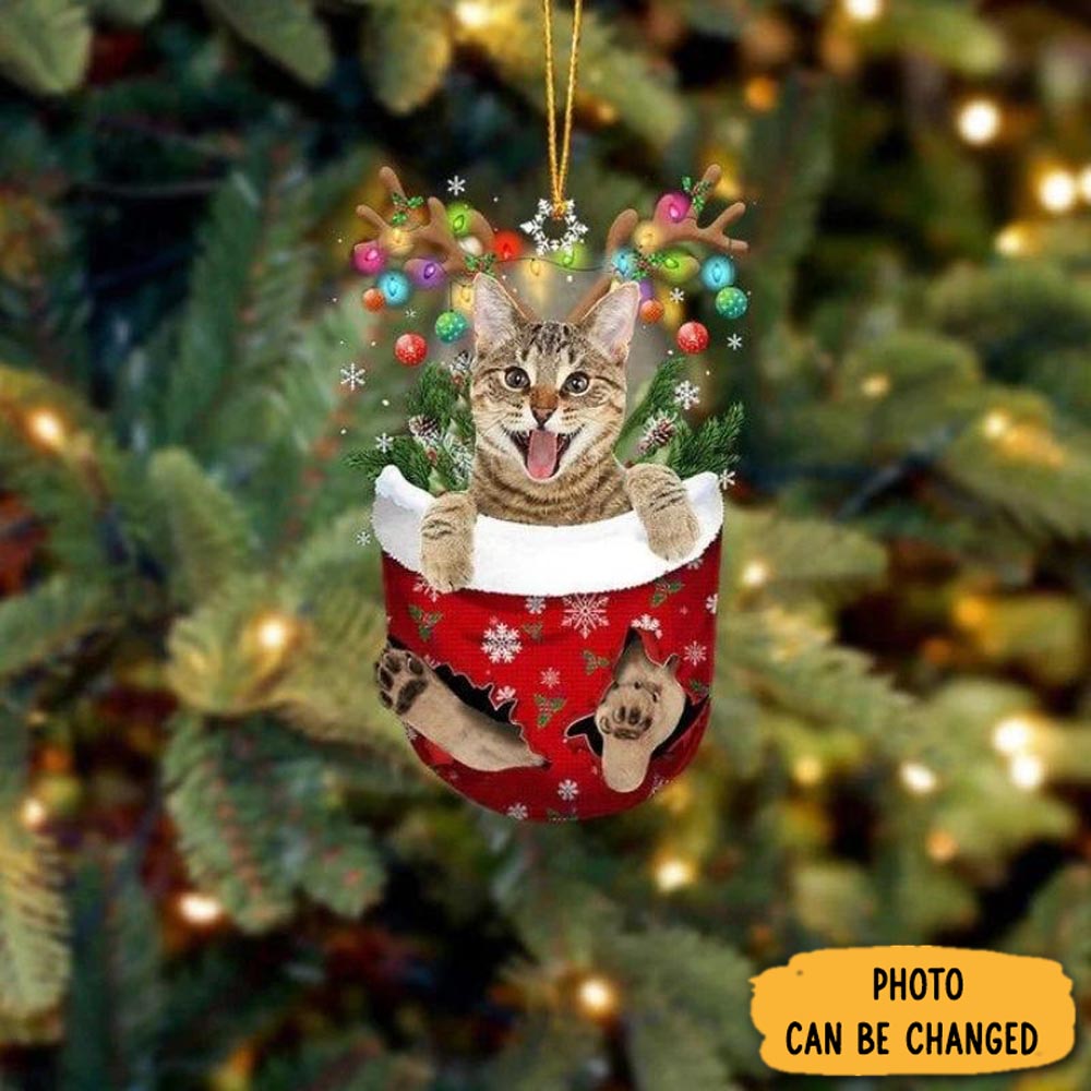 Personalized Cat In Snow Pocket Christmas Ornament Joyful Home Ornament Decor