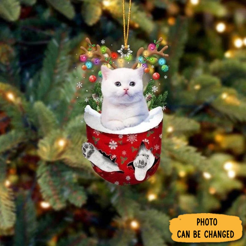 Personalized Cat In Snow Pocket Christmas Ornament Lovely Holiday Ornament Display