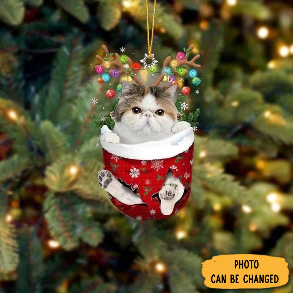 Personalized Cat In Snow Pocket Christmas Ornament Lovely New Year Ornament Keepsake(1)