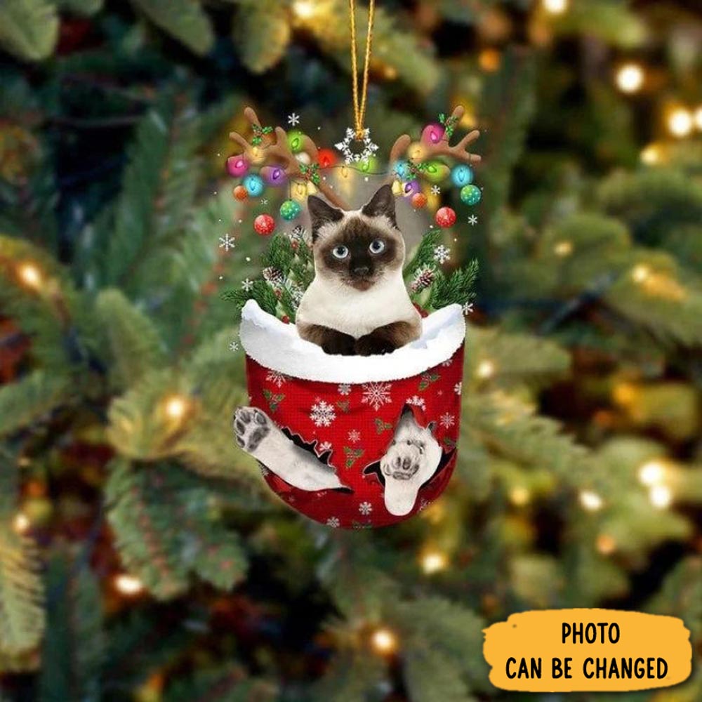 Personalized Cat In Snow Pocket Christmas Ornament Lovely Ornament Gift For Him